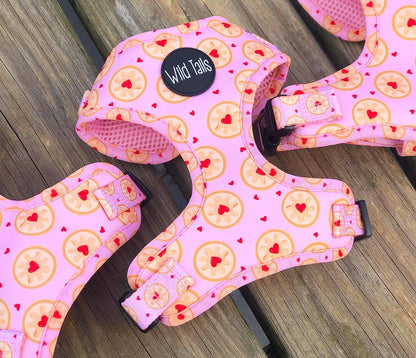 I don't give a Jam Harness