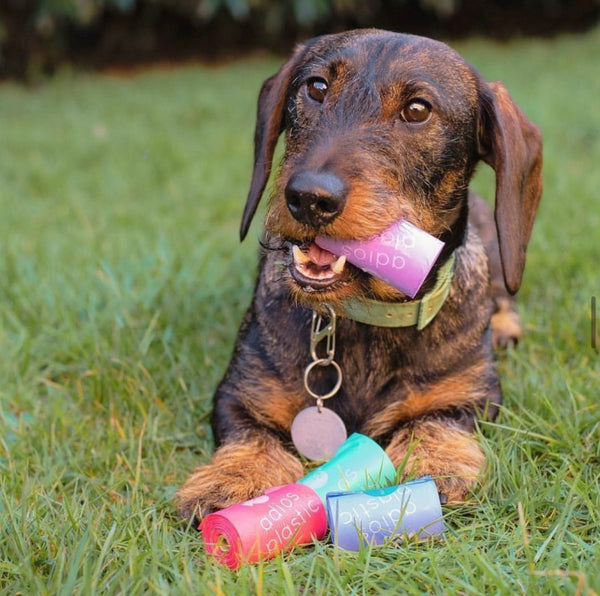 Compostable Poo Bags by Adios