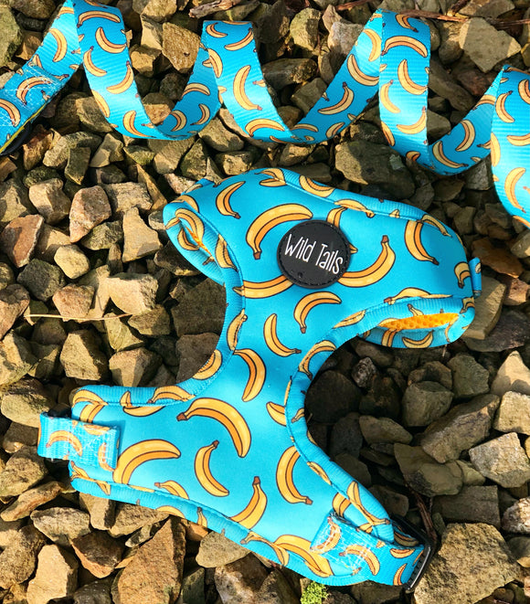 Go Bananas Harness - Seconds