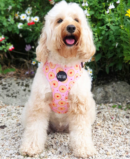 I don't give a Jam Harness