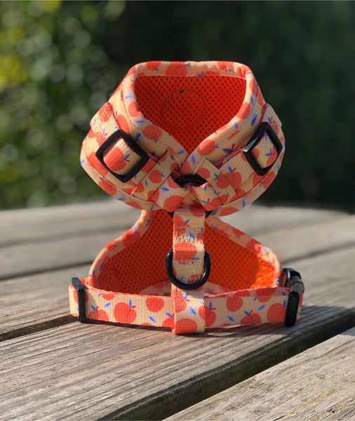 Georgia Harness