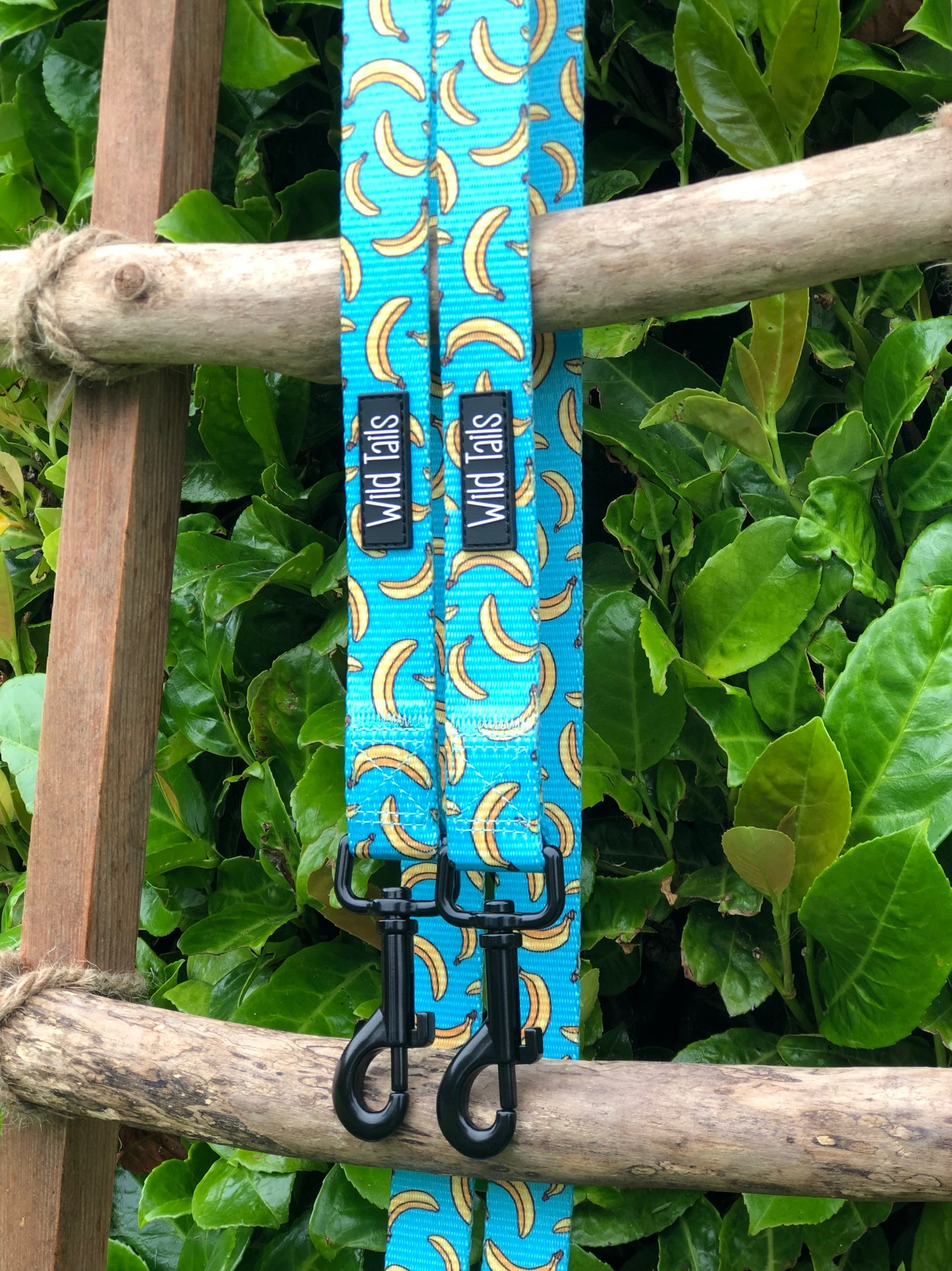 Go Bananas Adjustable Lead