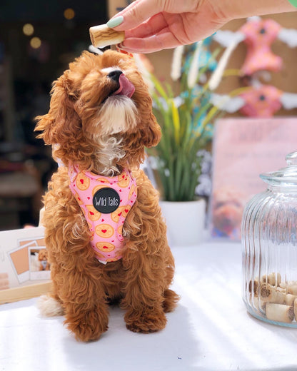 I don't give a Jam Harness