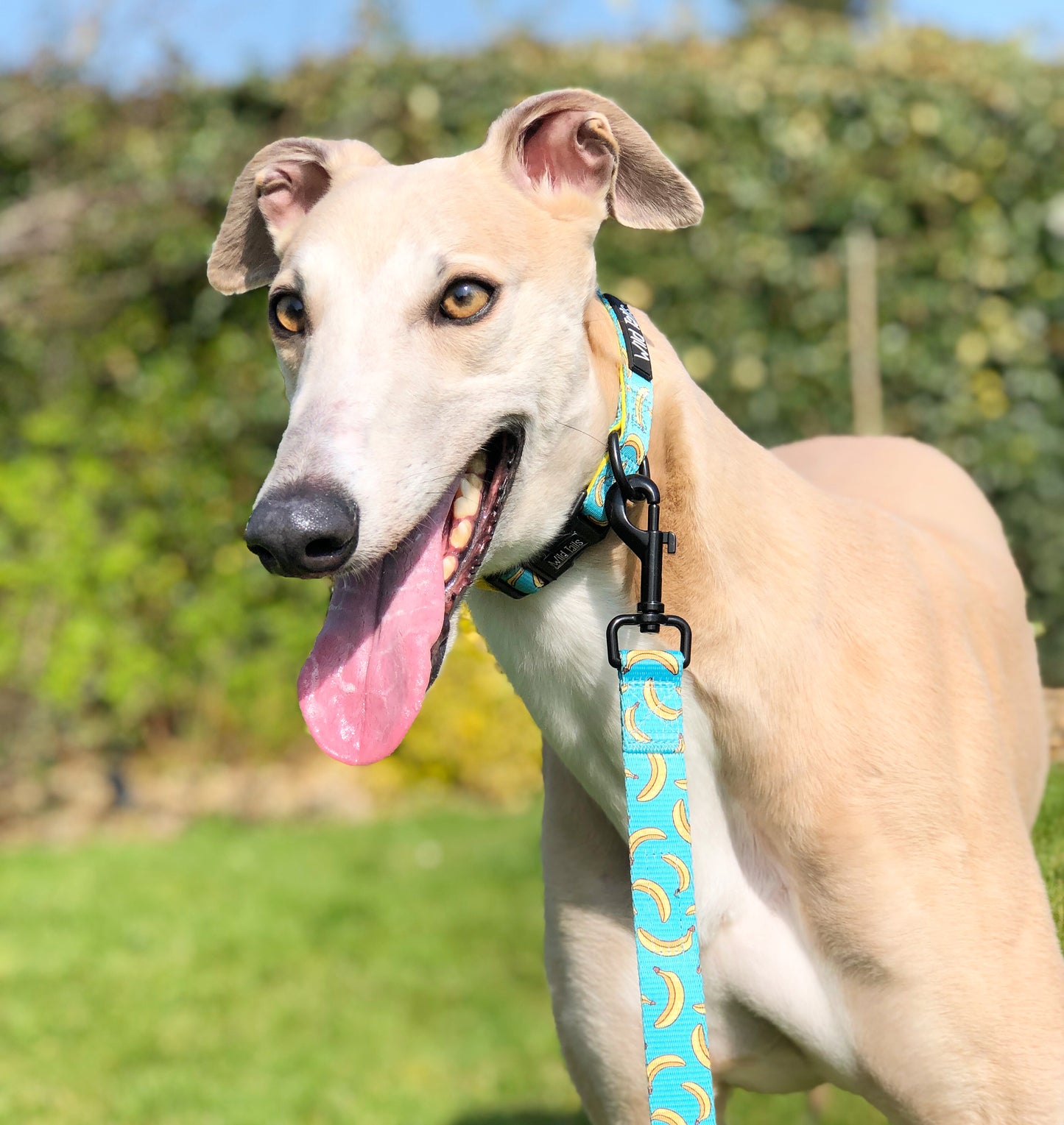 Go Bananas Adjustable Lead