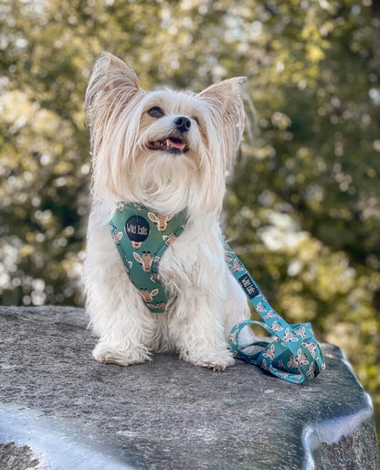 Your Highness Harness