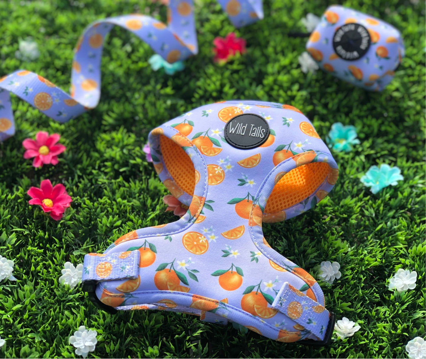 Orange Blossom Harness
