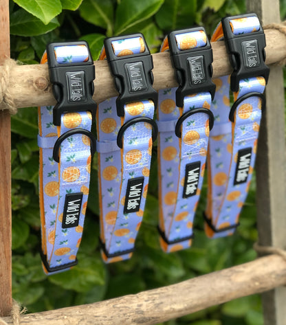 Orange Blossom Collar